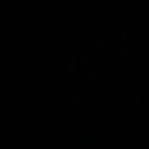 Meet your Posher, Max